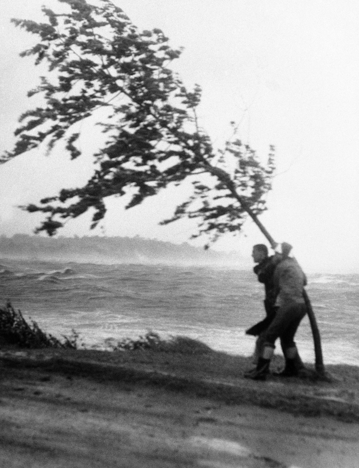 Hurricanes 1950-1957